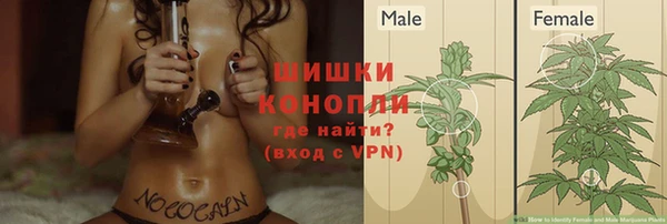 не бодяженный Арсеньев