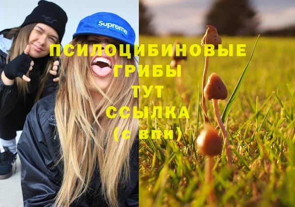 метадон Армянск