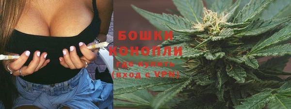 не бодяженный Арсеньев