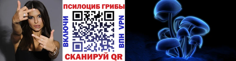 купить наркотик  kraken маркетплейс  Псилоцибиновые грибы Cubensis  Тутаев 